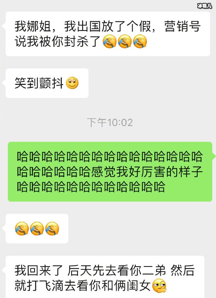 谢娜张碧晨聊天截图