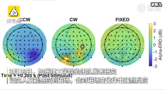 加州团队