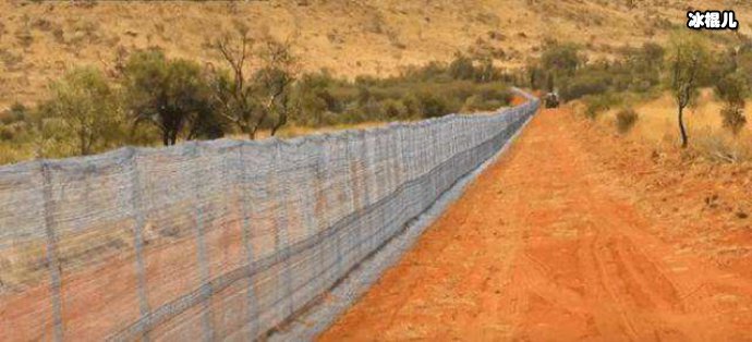 澳大利亚修建电子防猫栏
