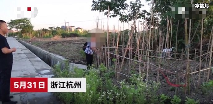 汪大妈给民警指点自家被破坏的菜园