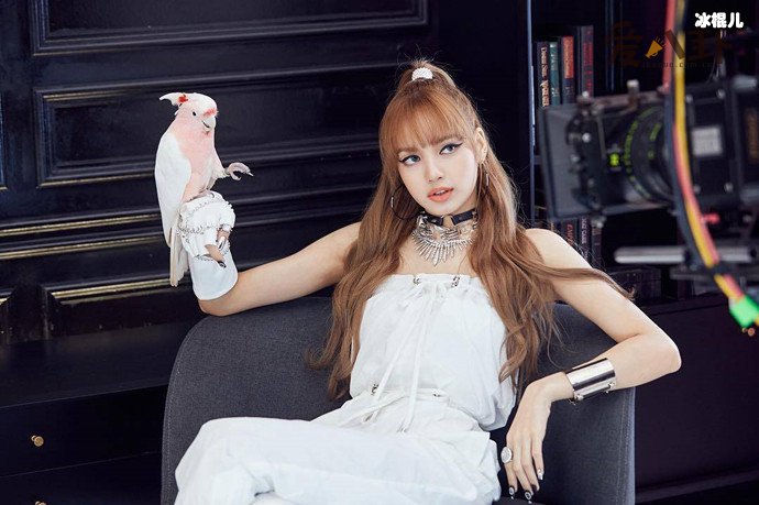 韩媒曝BLACKPINK成员lisa即将solo出道