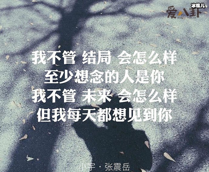 小宇是张震岳唱给谁的