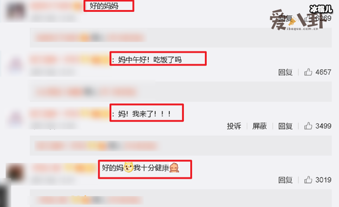 张小斐走红，为何网友都叫她妈？  第2张