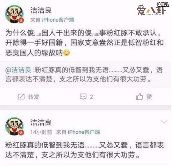 粉红豚是什么意思