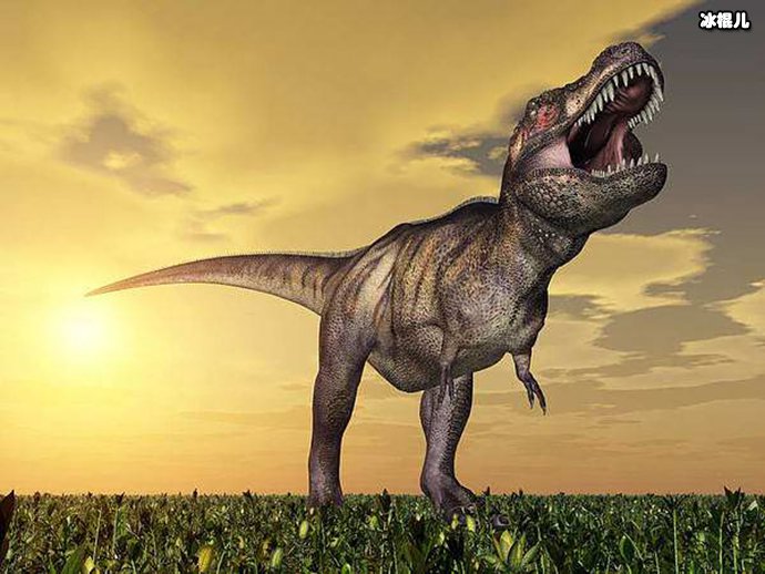 该恐龙体长约达7.5米