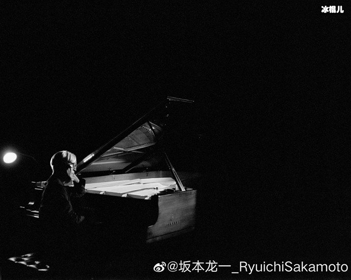 坂本龙一照片