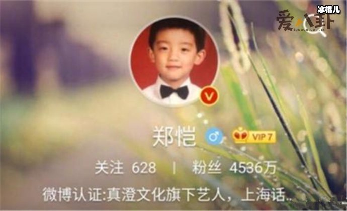 郑恺苗苗换情头 二人婚姻生活让人羡慕  第2张