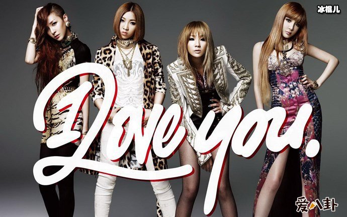 2ne1写真