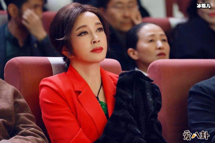 刘晓庆写真