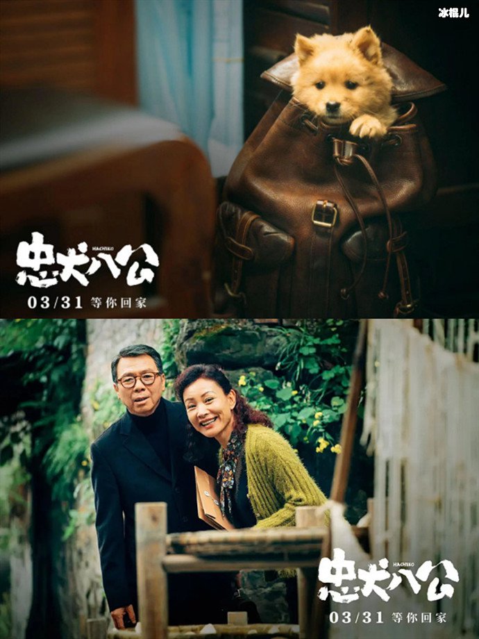冯小刚陈冲新片《忠犬八公》定档 原定去年上映但撤档了  第2张