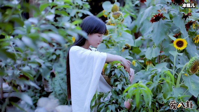 李子柒写真