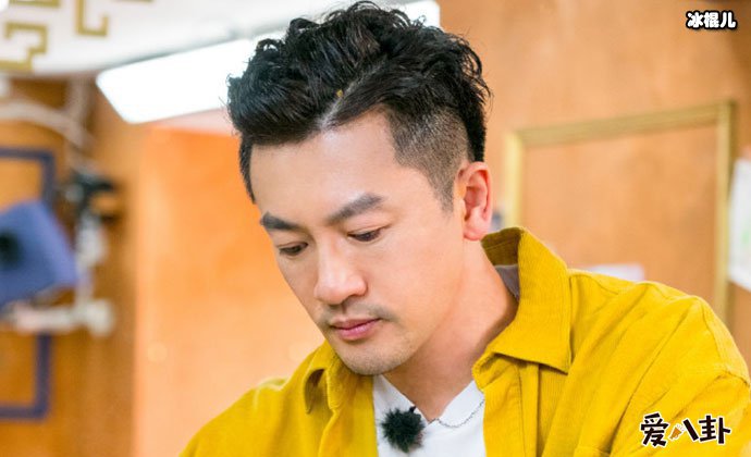 苏有朋