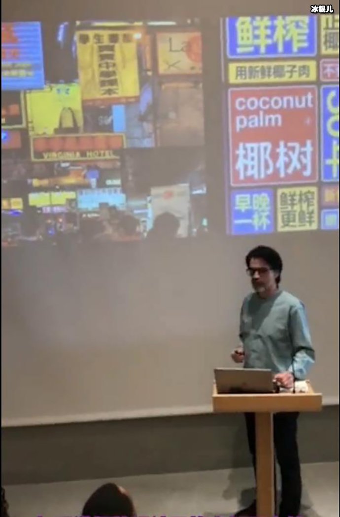 老外分析椰树