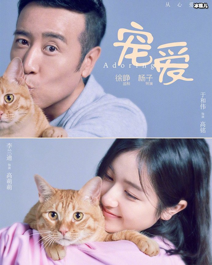 电影宠爱角色介绍