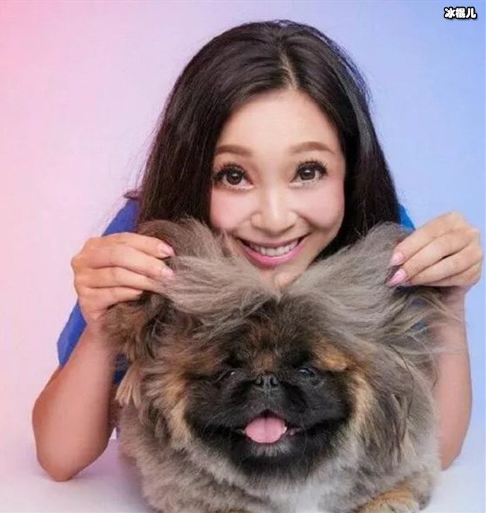曾是“最美郭芙”，为给狗办葬礼狂砸20w，离婚后沉迷整容