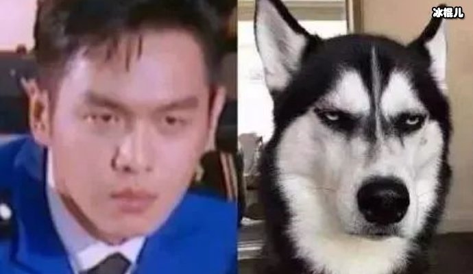 张若昀新剧《完美证据》即将上映，女主角大有来头网友：星二代