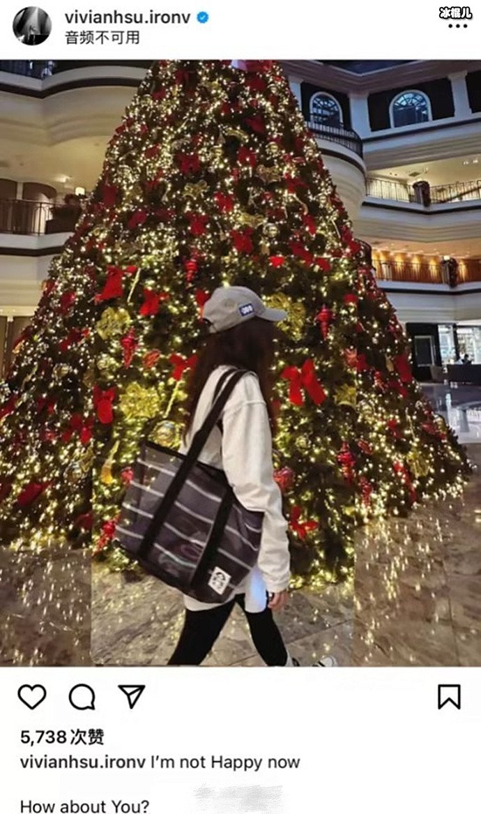 徐若瑄宣布与富商老公离婚，曾为生下孩子吃足了苦头