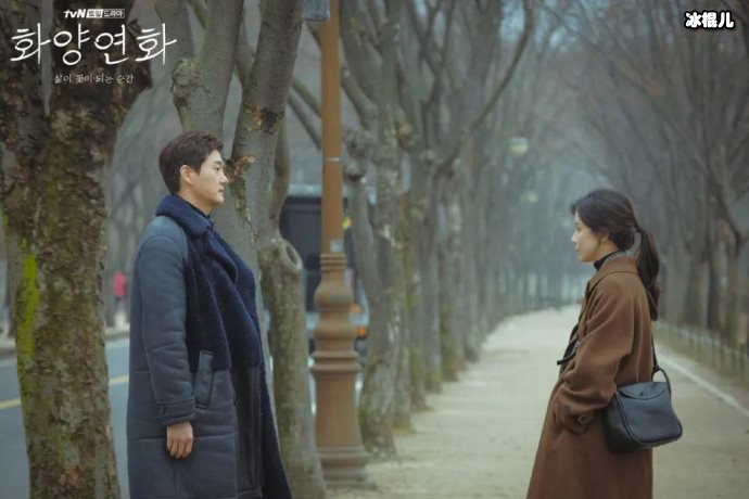 韩剧《花样年华-生如夏花》首播，观众大呼：这是中年人的爱情故事