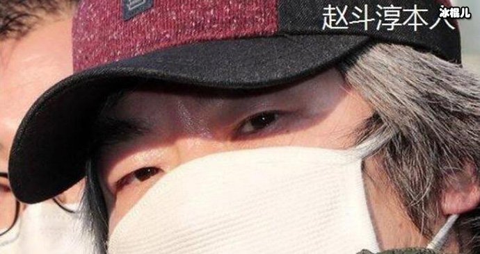 赵斗淳本人