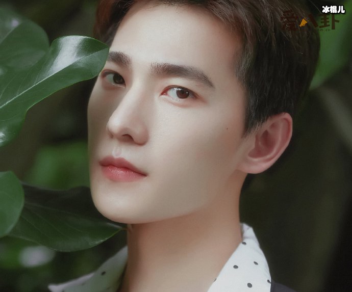 杨洋照片