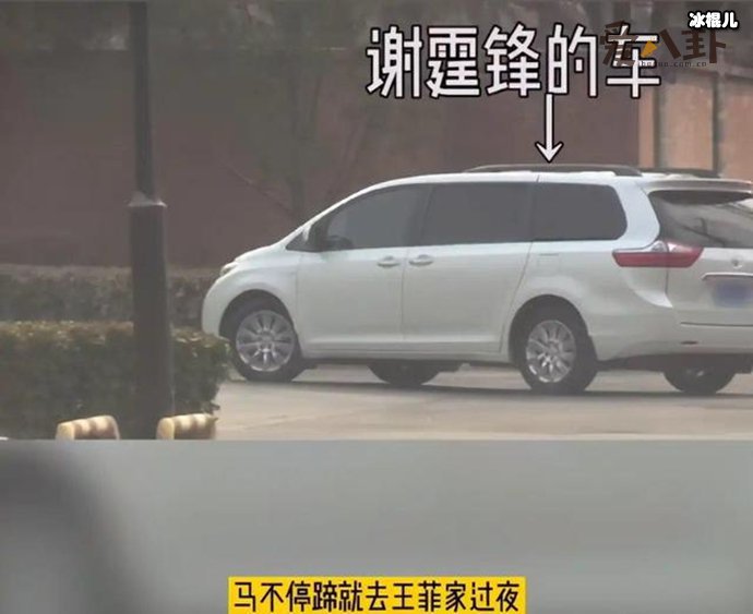 谢霆锋被拍到去王菲家过夜，力破两人分手传闻