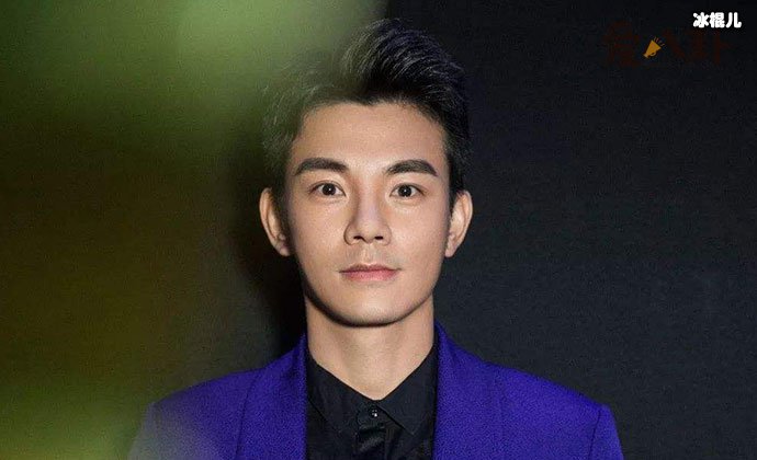 李感个人资料