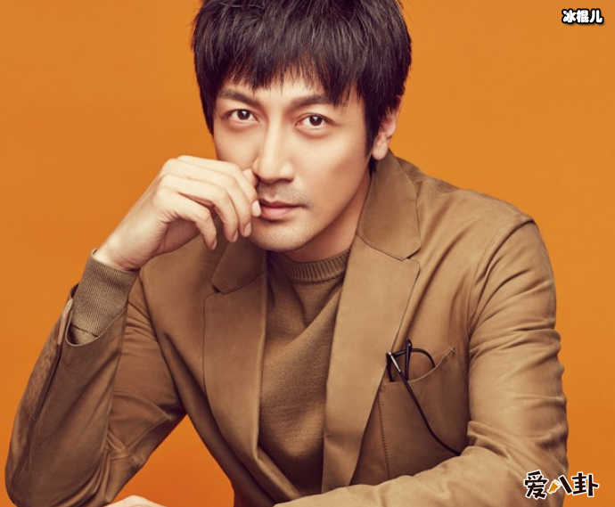 业内对张鲁一的评价, 高学历演员张鲁一是混血而吗