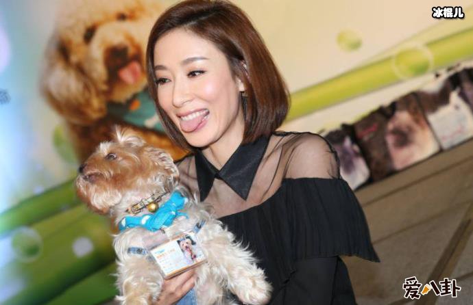 杨怡多少岁了