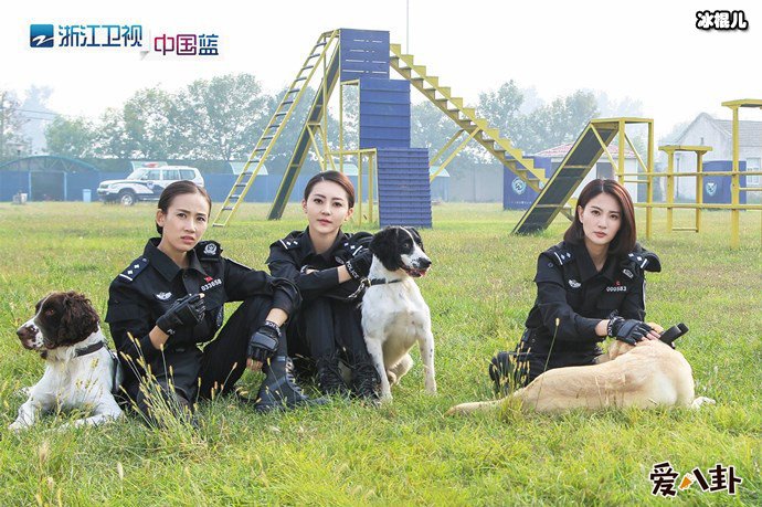 浙江卫视警花与警犬剧照