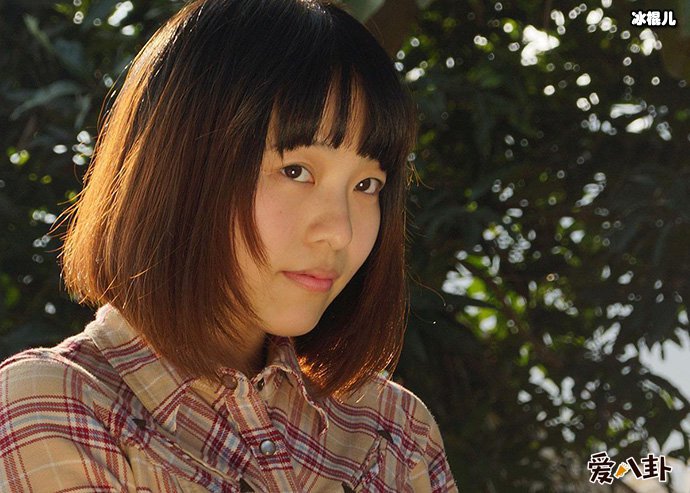 酒井法子资料