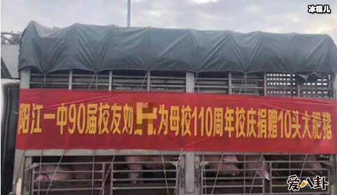 为母校捐赠10头猪是？ 网友调侃捐猪真不容易！