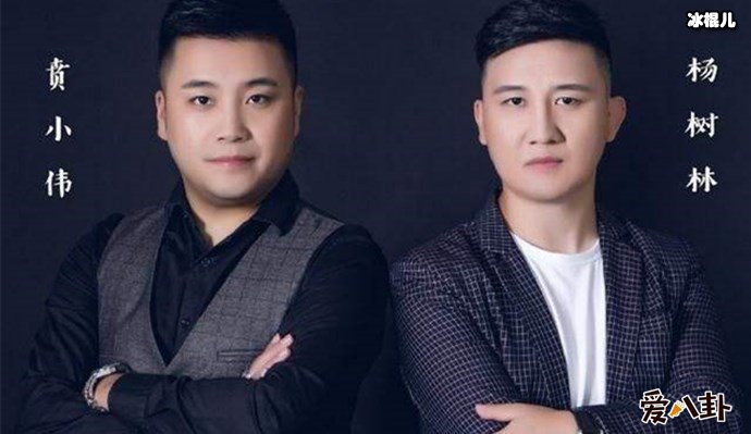 赵本山为何不捧杨树林？原来还有这样的因素！
