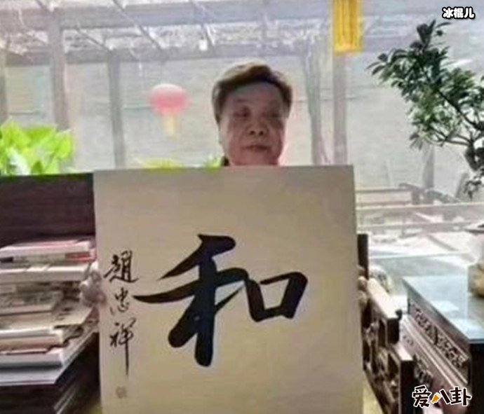 赵忠祥发长文