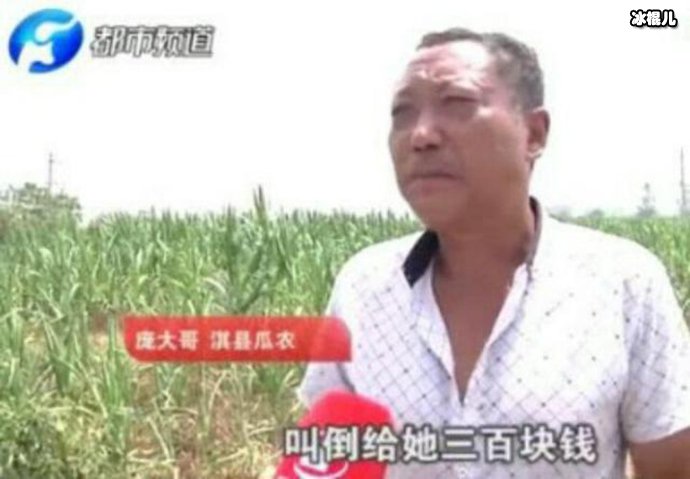 瓜农阻拦偷瓜贼造轻伤