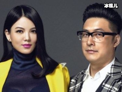 王岳伦有几段婚史 婚后屡被传花边绯闻他与李湘离婚了吗