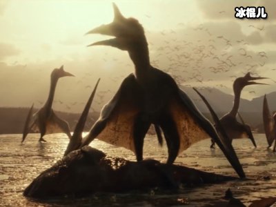 电影《侏罗纪世界3》上映，如今播出均为盗版？