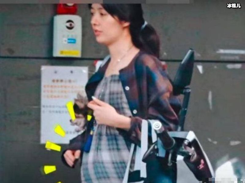 向太官宣儿媳郭碧婷怀孕，发了什么内容让网友反感？