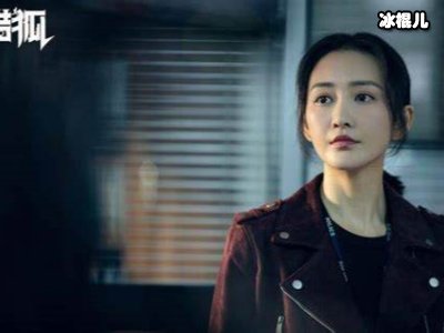 《猎狐》火了傅晶，全网嘲笑如今变了一个人！