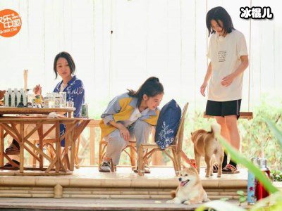 《向往的生活4》院前水果园院后菜地园，这才是向往的生活！