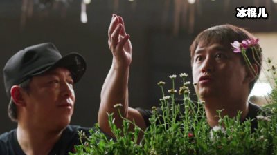 《向往的生活》张子枫保住了女星的体面