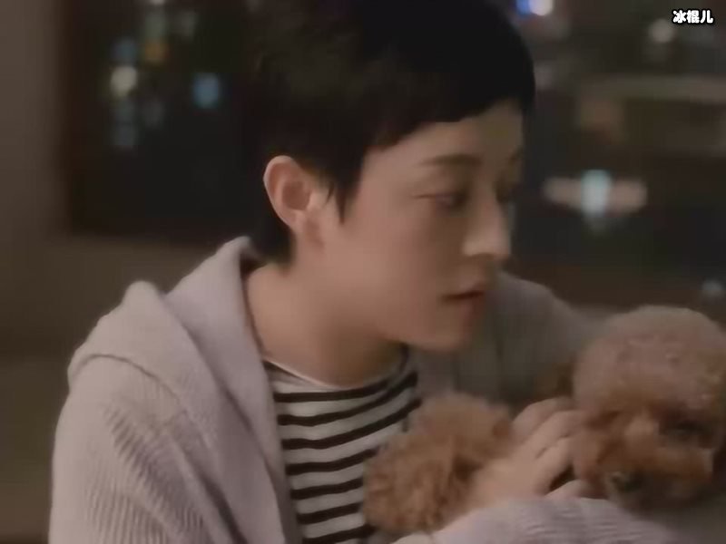 《安家》剧情根本停不下，邓超找老婆剧透却遭拒