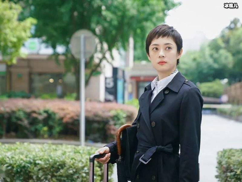 从《安家》看国产影视剧发展到什么地步，网友：差距还很大