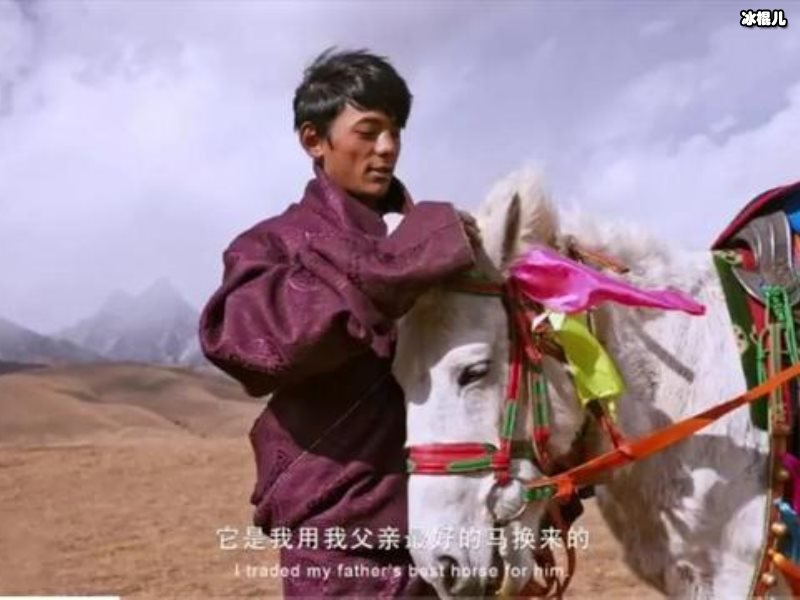 丁真怎么走红的？没有学历也能成为明星不少人眼红了