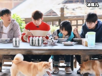 《向往4》广告植入太生硬，网友：大制作并非好事！