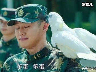 爱上特种兵梁韶雪和田勇是什么关系？田勇梁韶雪大结局如何？