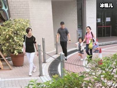 文章复出剧搭档是佟湘玉，八年是否整理好心情出发？