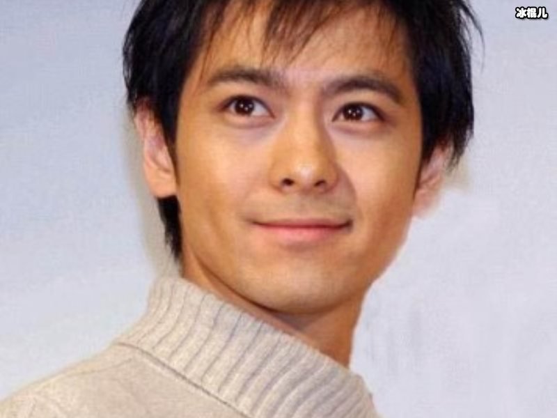 林志颖带着妻儿捧场蔡依林演唱会，10岁大儿子全程坐腿上