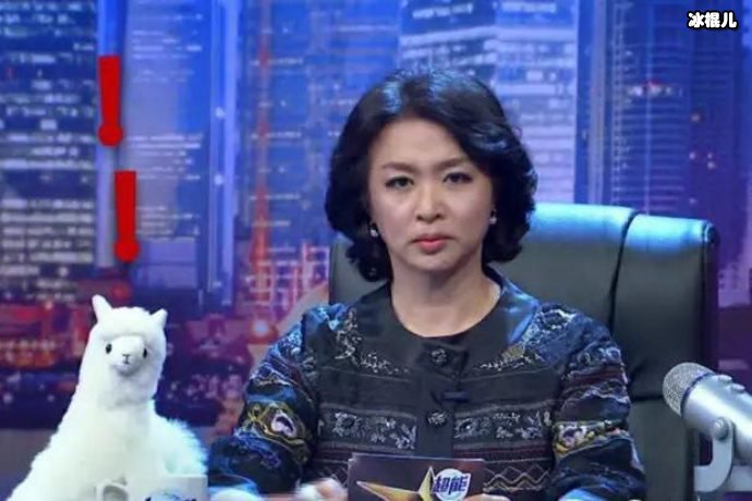 金星拍摄VLOG曝光自家豪宅，收藏品众多惹人羡慕
