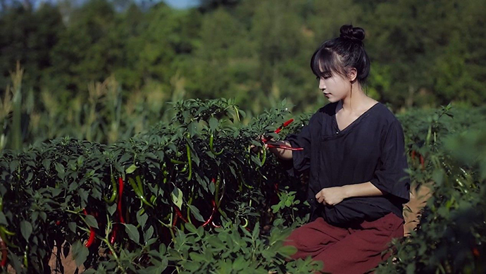 李子柒悲惨身世揭秘