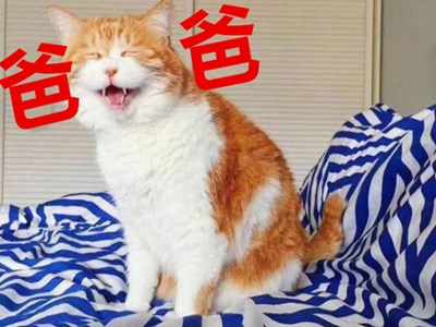 叫爸爸的梗怎么来的 为什么都喜欢让对象叫爸爸
